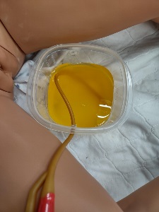 plastic food storage container with simulated urine placed in between manikin legs
