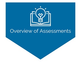 NLN Image for Website_Overview of Assessments