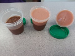 Three four-ounce specimen cups. One half filled with instant chocolate pudding. One half filled with instant chocolate pudding and topped with peach gelatin. One topped with peach gelatin that has a single slice into the surface of the gelatin.
