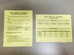 two yellow letter size papers labeled "N U R 317 - Diabetic Care - Counting Carbs"