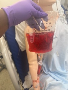A person wearing a purple glove holds an IV bag labeled 0.9% Sodium Chloride Injection USP, filled with red fluid. The bag is connected by tubing to a manikin lying in a hospital bed.
