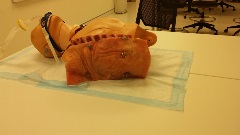 intubated manikin with pig skin attached to the side of the torso
