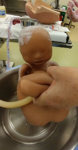 neonate manikin with umbilical cord attached
