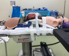 intubated pregnant manikin strapped to gurney with abdomen covering removed