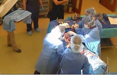 surgical theatre with four health care professionals in surgical gowns delivering neonate manikin