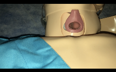 uncovered manikin neck with airway hole
