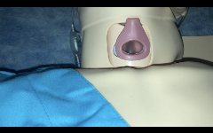 uncovered manikin neck with endotracheal tube cuff adjacent to the neck