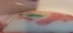 Close-up of a translucent tube lying over foam padding with a green insert visible beneath the surface, surrounded by red-stained areas