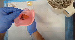 Hands in blue gloves hold open a pink glove filled with cat litter and a laundry pod. A container of cat litter, a laundry pod, and rubber bands are nearby on an absorbent pad.