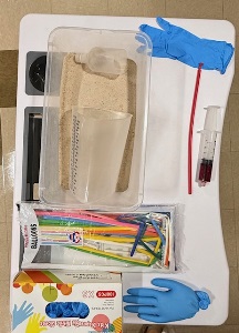 Overhead view of a tabletop with a plastic bin filled with sand, a clear measuring pitcher, balloons, blue disposable gloves, a red tube, a syringe with dark liquid, and a box of kids’ nitrile gloves arranged around the bin.