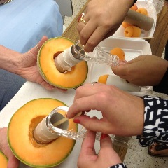 Two half cantalopes with empty toilet paper rolls in center and speculum inserted in toilet paper roll. Two students using spatulas to gather a sample from the speculum.