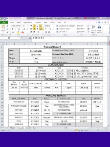 screenshot of Excel spreadsheet Prenatal Record