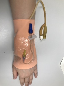 Simulated skin atop an adult forearm. IV extension tube attached to simulated skin. Latex urinary catheter between the adult forearm and the simulated skin.