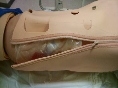 side view of manikin torso with abdominal foam replaced and bags tucked between the hard plastic shell of the manikin and the external skin