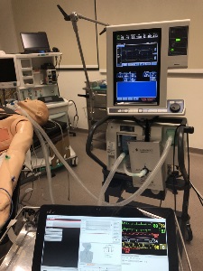 full-size manikin in sim lab attached to a ventilator