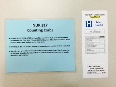 one blue laminated letter size paper labeled "N U R 317 Counting Carbs." One white narrow paper labeled "Tray Menu B."