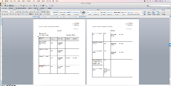 screenshot of two page Microsoft Word document eMAR