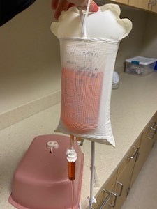 IV bag with blood-colored liquid and upside down hospital basin on a counter