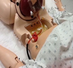 open manikin abdomen with OSD air tubing and double-ended tubing connectors